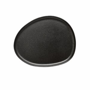 Titanium Black Organic Lunch Plate